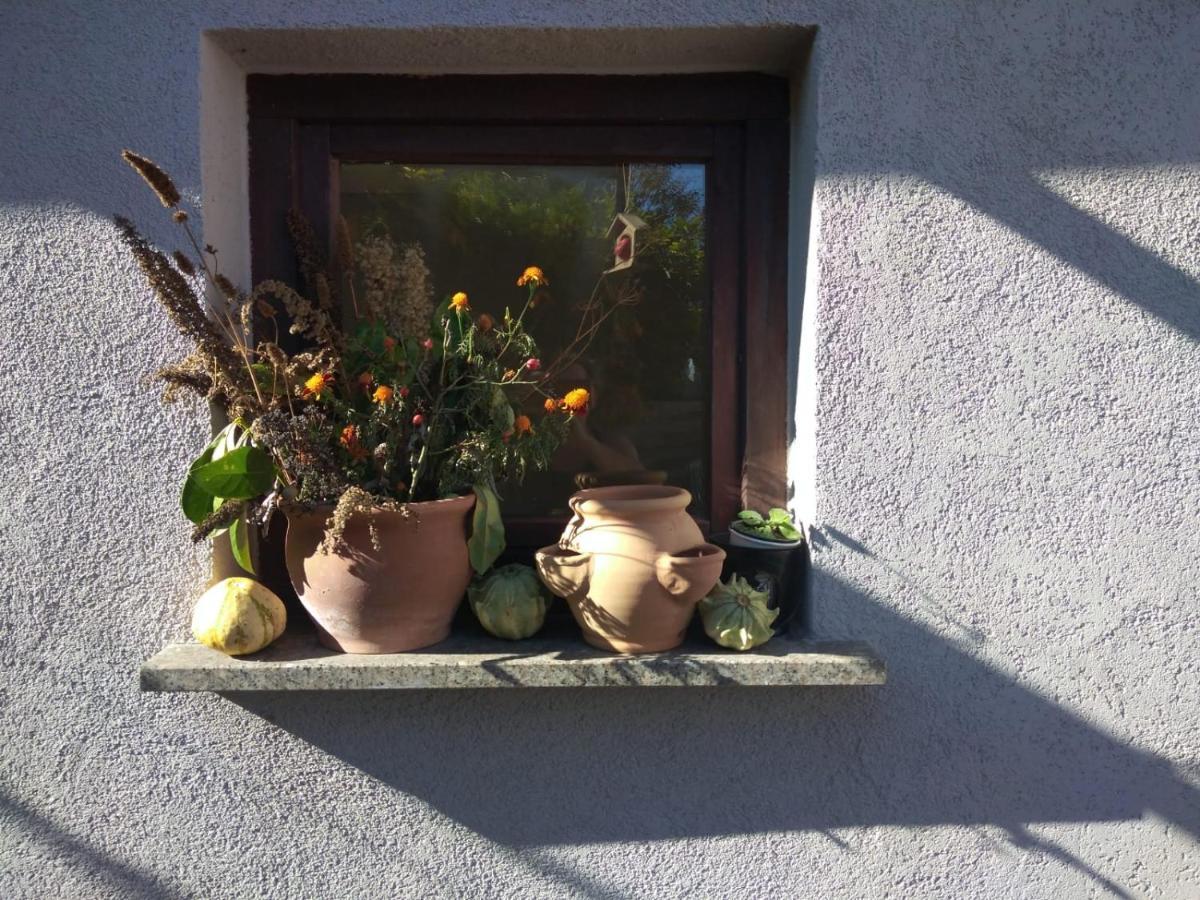 Ferienhaus Badetz Εξωτερικό φωτογραφία
